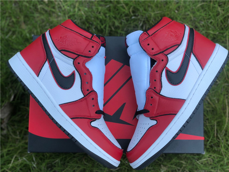 Nike air 2024 jordan bloodline 2.0